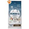 Forza10 Dog Monodiet Medium Adult Agnello - Offerta [PREZZO A CONFEZIONE] Quantità Minima 2, Sacco Da 12 Kg