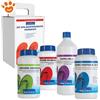 Lapi Piscina Semplice - Kit SPA di Avviamento e Mantenimento Periodico - (kit con 4 prodotti) Ossigeno Granulare, Bromo in Pastiglie, Correttore PH- Meno, Simply Blu - Confezione Da 1 Kit