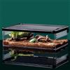 YZHZOM Mini terrario - Scatola acrilica magnetica per rettili, gechi, capre, camaleonti, serpenti, scorpione, lumache, insetti, cancro eremita, isopi (32 x 22 x 10 cm)