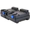 FXLion Disco Nano One Dual V-lock (hot swap) (con 3x D-tap) "