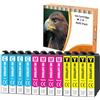 Starlet24 Cartucce d'inchiostro Compatibile con Epson 604XL Cartucce Colori