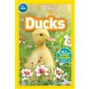 Jennifer Szymans National Geographic Kids Readers: Ducks (Pre-reade (Tascabile)