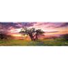 Heye Puzzle Oak Tree 2000 Panorama