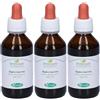 Sangalli Alga Mari Tintura Madre Gocce 3x100 ml Soluzione