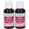 Herbalgem Urigem Benessere Urinario Concentrato di Gemme Fresche Gocce 2x30 ml Soluzione orale