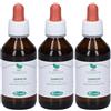 Sangalli Quercia Penducolata Macerato Glicerico Gocce 3x100 ml Soluzione orale
