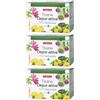 NATURPLUS Tisana Depur-Attiva 3x30 g