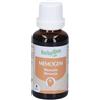 Herbalgem Memogem Memoria Concentrato di Gemme Fresche Gocce 4x30 ml Soluzione orale
