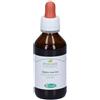 Sangalli Alga Mari Tintura Madre Gocce 4x100 ml Soluzione