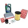 Febi Bilstein Kit Ispezione 1,0 EcoBoost Ford Focus Inkl. 5 L Olio 5W20 Castrol