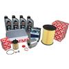 Kit Ispezione 1,6 Diesel Ford Focus Incl. 4 L 5W30 Motorcraft Olio