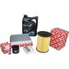 Kit Ispezione 1,6 16V Ford Focus - C-Max Inkl. 5 Liter 5W20 Wolf Öl