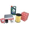 Febi Bilstein Kit Ispezione 1,6 16V Ford Focus - C-Max Inkl. 5 Litri 5W30 Castrol Öl