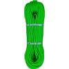 Edelweiss Thunder 9.5 mm corda arrampicata