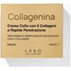 LABO Collagenina Crema Collo 6 Collageni Grado 3 50 Ml