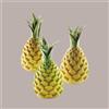 LUCGEL SRL Stampo in Silicone 3D per Frutta Realistica Foresta e Ananas dm 60 mm H 73 mm