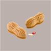 LUCGEL SRL Stampo in Silicone per Frutta Realistica Arachide 107x43h40 mm