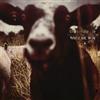 Bart De Win Simple Life (CD)