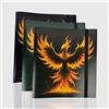 PHOENIX SHIELD Album Flex Toploader 9 Pockets / 12 Pages Accessori Carte