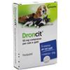 VETOQUINOL DRONCIT 6 CPR.