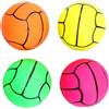 Nobleza PALLINA DA VOLLEY IN GOMMAPIUMA
