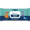 ARYA SALVIETTE DETERGENTI BREZZA MARINA 40 PZ.