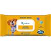 ARYA SALVIETTE DETERGENTI IGIENIZZANTE CON CLOREXIDINA 40 PZ.