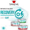DISUGUAL DIET CAT RECOVERY CONIGLIO 85 GR.