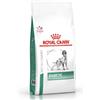 ROYAL CANIN DOG DIABETIC 1,5 KG.