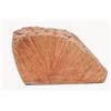 FERRIBIELLA RADICE DI ERICA TG. M (300-500 GR.)