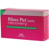 NBF LANES RIBES PET RECOVERY 60 CPR.
