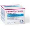 NBF LANES RIBES PET SYMBIO 30 STICK