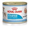 ROYAL CANIN DOG STARTER MOUSSE 195 GR.