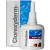ICF CLOREXYDERM SPOT GEL 100 ML.