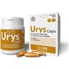 INNOVET URYS CAPS 30 CPR.