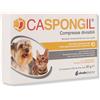 SHEDIR PHARMA CASPONGIL 30 CPR.