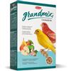 PADOVAN GRANDMIX CANARINI 400GR