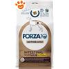 Forza10 Dog Active VetDiet Intestinal Colon Fase 1 Agnello e Sorgo Bianco - Sacco Da 1,5 Kg