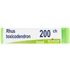 boiron Rhus toxicodendron 200ch gl 1g