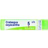 Boiron Crataegus Oxyacantha 5ch Gr