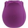 CHISA NOVELTIES Succhia Clitoride Rosy VIOLA
