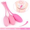 TOYZ4LOVERS Palline Vaginali Training Pleasure