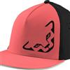 DYNAFIT Tech Trucker CAP - CABANA