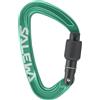 SALEWA Ortles Moschettone a Ghiera - IRISH GREEN