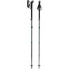 LEKI Makalu FX Makalu FX Carbon 110-130 Cm - Verde
