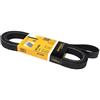 CONTITECH 6PK2460 Cinghia Poly-V