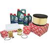 Febi Bilstein Kit Ispezione Motore Ford 2,2 Diesel Euro 5+6 Incl. 9 L Olio Castrol 0W30