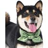 Lovelyshop Papillon in raso per cani e gatti, fiocco a doppio strato, verde salvia, M