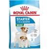 Royal Canin Mini Starter Mother & Babydog - 240 - 3 Kg
