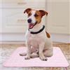 Generico Tappetino Rinfrescante per Cani e Gatti, Cooling Mat Pieghevole,Tappeto Estivo per Animali, Tappetino Rinfrescante per Animali di Piccola Media Grande, 40x50 cm, 70x55cm, 100x75cm